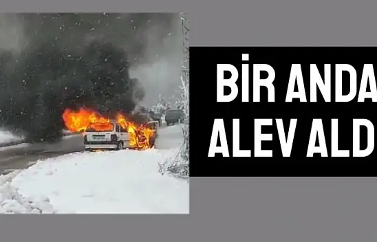 Otomobil alevlere teslim oldu