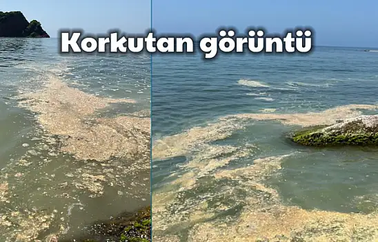 Sahilde tepki çeken kirlilik