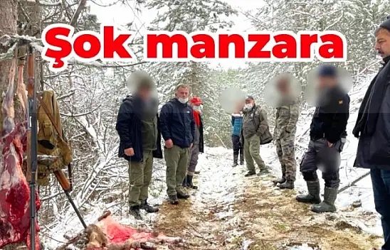 Vicdansızlar suçüstü yakalandı