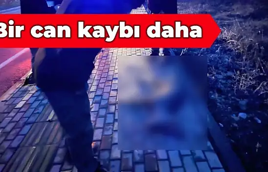 Yola atladı, araba çarptı