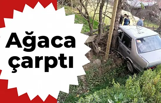Yoldan çıkan otomobil ağaca çarptı