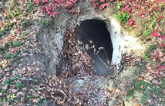 20 metrelik define tüneli bulundu