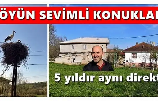 Beş yıldır gelen leylekler ilgi odağı oldu