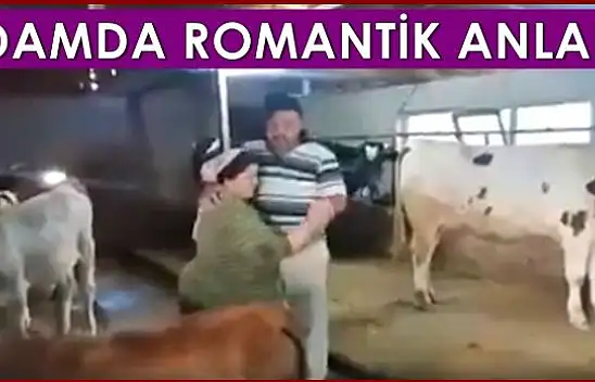 Böylesi görülmedi, damda aşk başkadır!