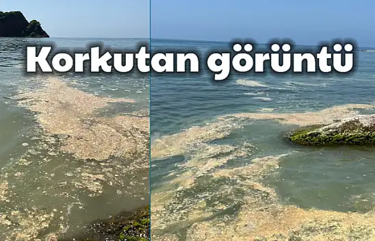 Çakraz sahilinde korkutan görüntü