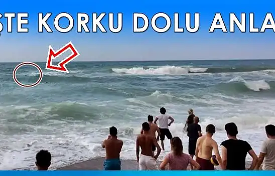 Denizde korku dolu anlar