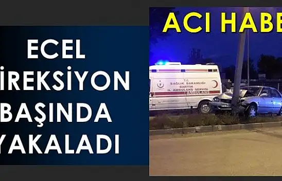 Direksiyon başında fenalaştı, direğe çarptı