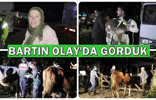 Hayvanlarına Kavuştular, Büyük Sevinç Yaşadılar