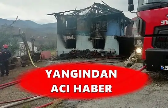 İki köyde yangın, yaşlı kadın hayatını kaybetti