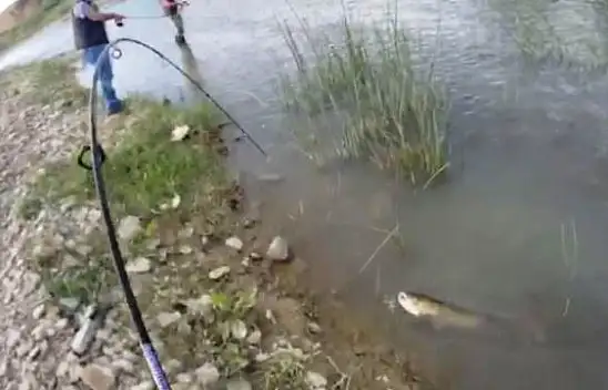 Irmakta öyle bir balık tuttu ki