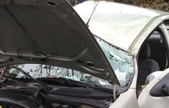 Kontrolden çıkan araç levhaya çarptı