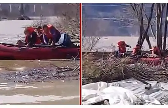 Mahsur kalan köpekler böyle kurtarıldı