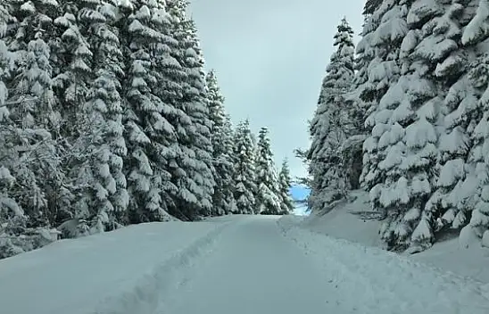 Muhteşem manzara eşliğinde karda safari
