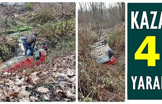 Otomobil şarampole yuvarlandı, 4 yaralı