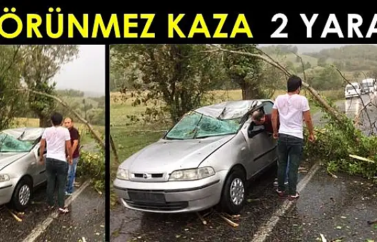 Otomobilin üzerine ağaç devrildi