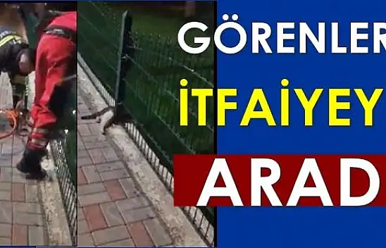 Sıkışıp kaldı, itfaiye kurtardı