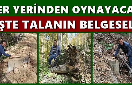 Talan, rüşvet ve yolsuzluk iddiası