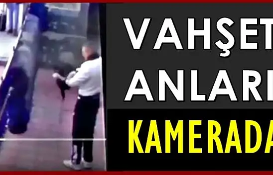 Yavru kediye vahşet kamerada