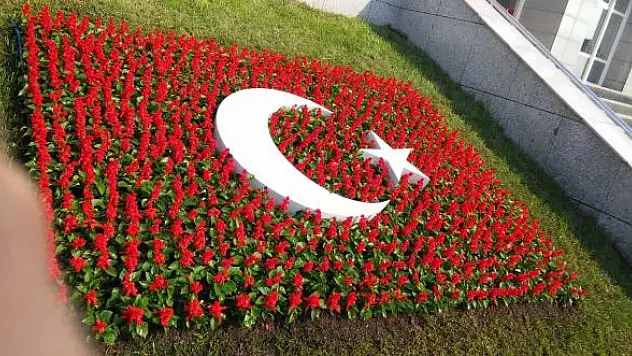 Ay Peyzaj çiçekçilik bahçelerinizi güzelleştiriyor