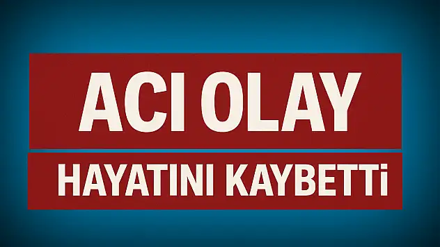 Ağaç keserken hayatını kaybetti