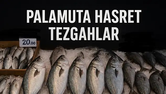 Balıkçıların gözü 'kestane karası'nda