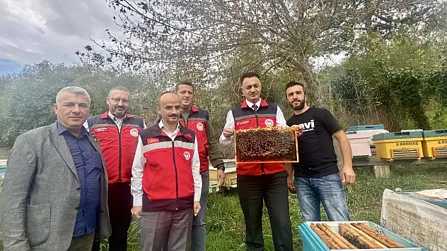 Bartın'da bal gibi üretim