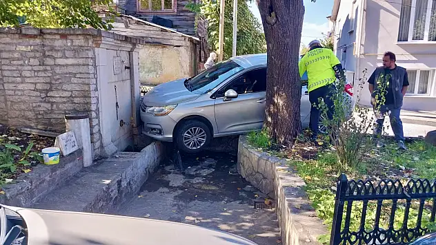 Çeşme bahçesine girdi