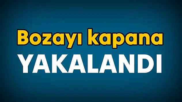 Ekipler seferber oldu