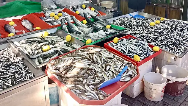 Gel vatandaş gel kampanyaya gel