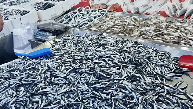 Hamsi tezgahta 100'üyor