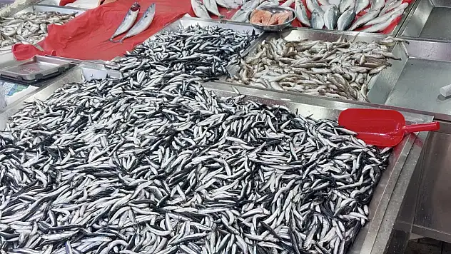 Hamsi yine fırladı