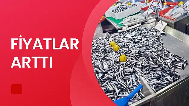 Hava bozdu, balık azaldı