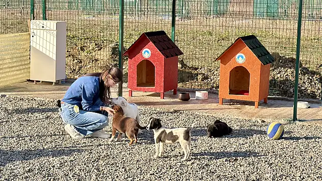 Hayvan Doğal Yaşam Alanı kuruldu