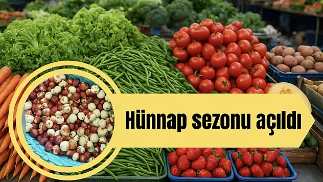 Hünnap sezonu açıldı