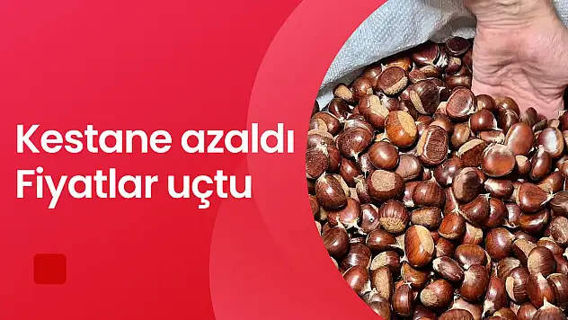 Kestane azaldı fiyatlar uçtu