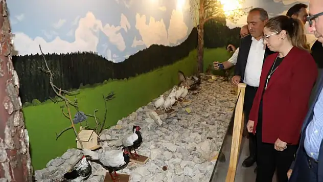 Küre dağları milli parkında bir ilk