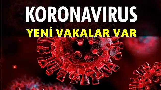 Tedbiri elden bırakmayalım, virüs dolaşıyor