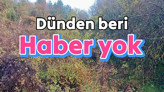 Yaşlı kadın ormanda aranıyor