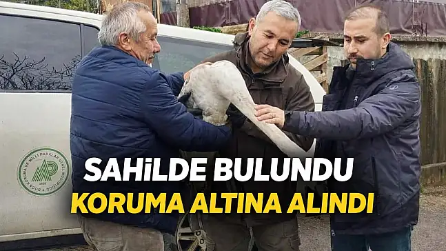Bartın'da duyarlı müdahale
