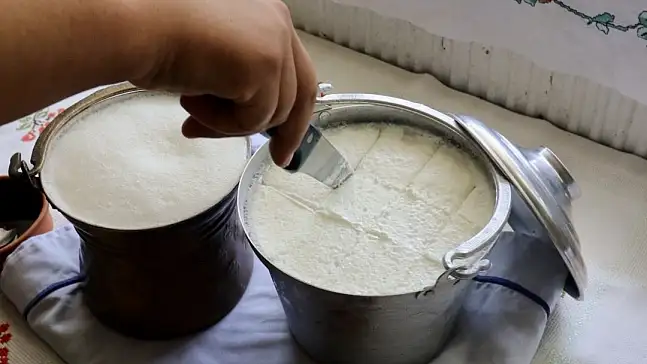 Bartın'ın meşhur yoğurdu artık tescillendi