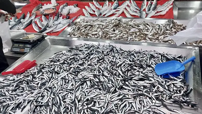 Palamut fiyatıyla fark attı