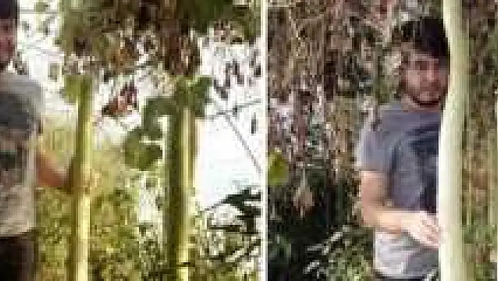 Bahçesinde 2 Metre Boyunda Kabak Yetiştirdi