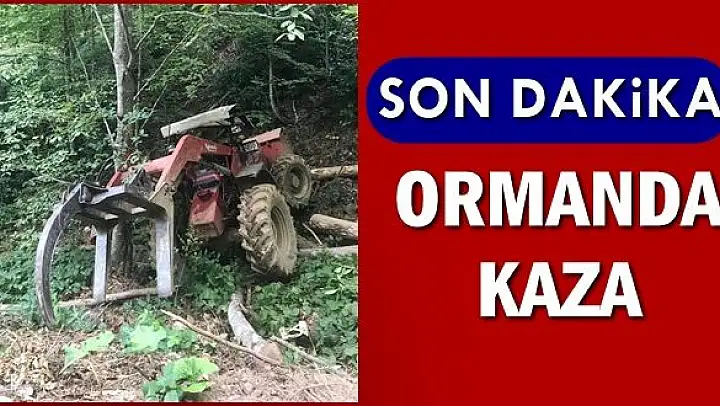 Ormanda kaza, Kepçe devrildi