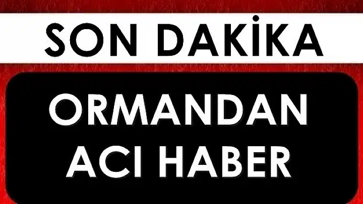 Ormandan acı haber