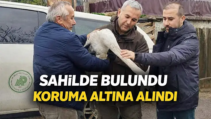 Bartın’da duyarlı müdahale