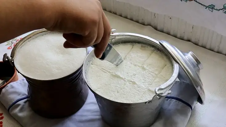 Bartın’ın meşhur yoğurdu artık tescillendi