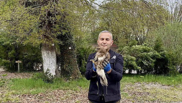 Doğanın sessiz misafirlerine şefkatli dokunuş