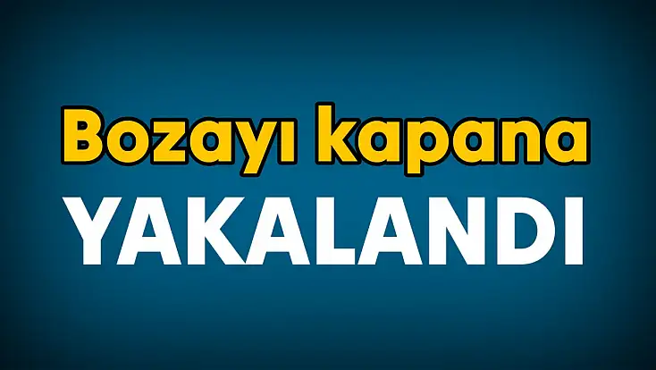 Ekipler seferber oldu