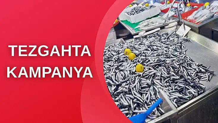 Hamsi bugün kampanyalı