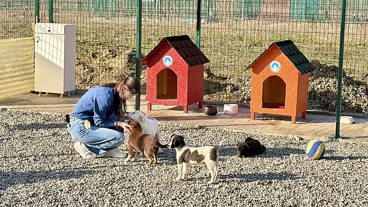 Hayvan Doğal Yaşam Alanı kuruldu